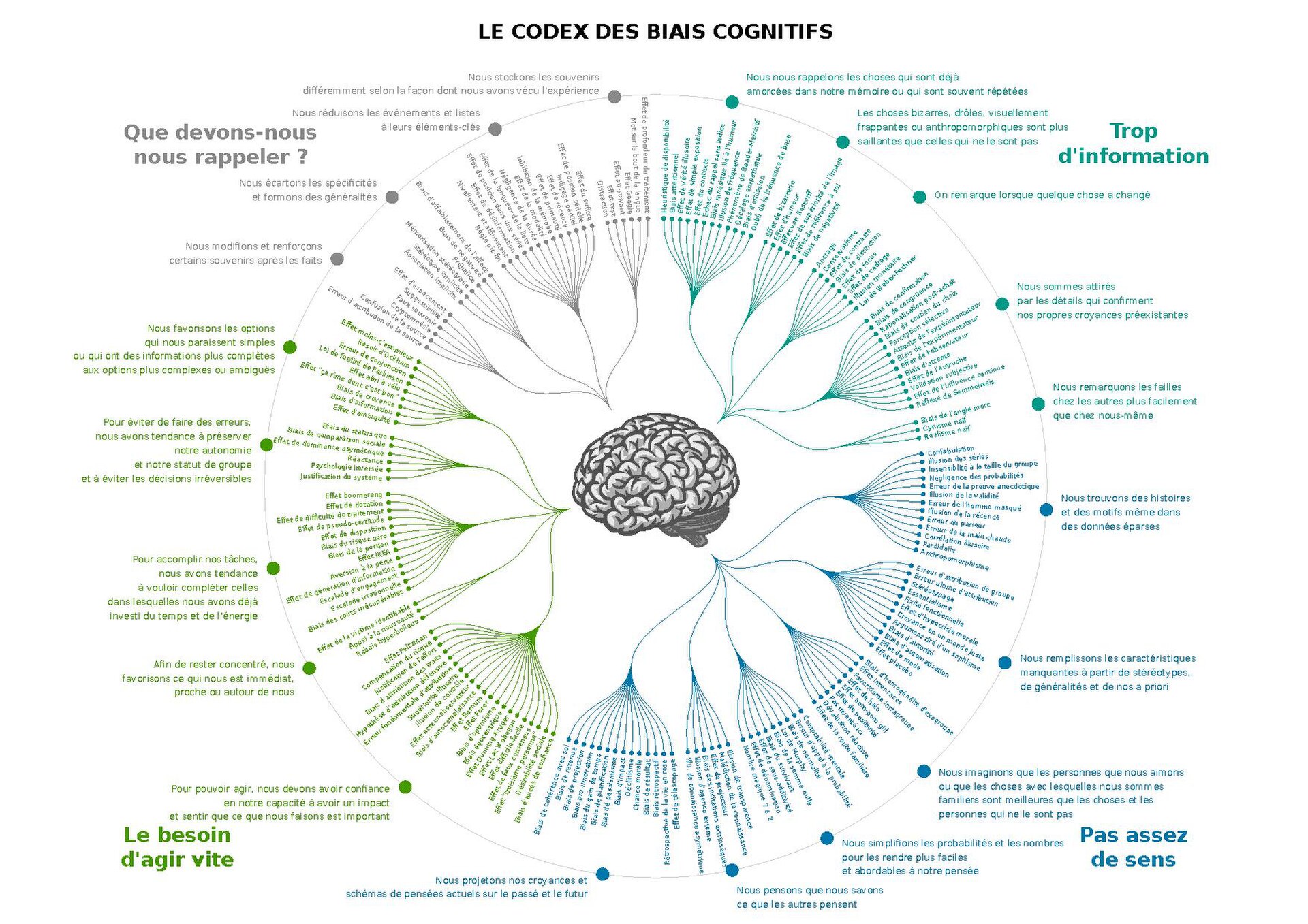 Le codex des biais cognitifs : plus de 180 biais rangés en quatre familles autour d'un cerveau