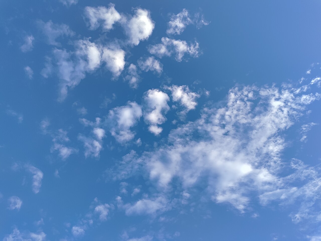 Altocumulus