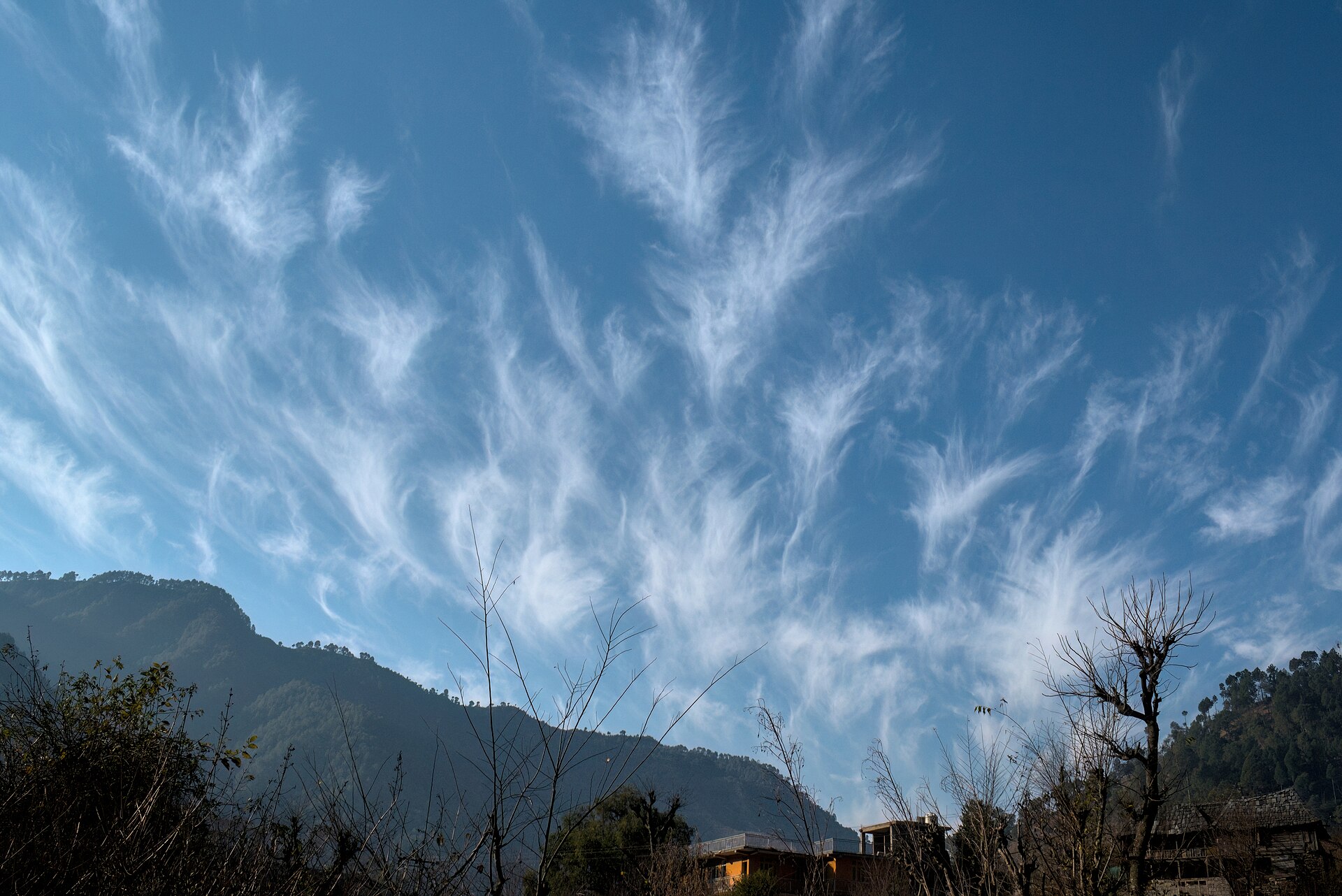Cirrus : filaments blancs très haut dans le ciel, premiers signes d'un front chaud