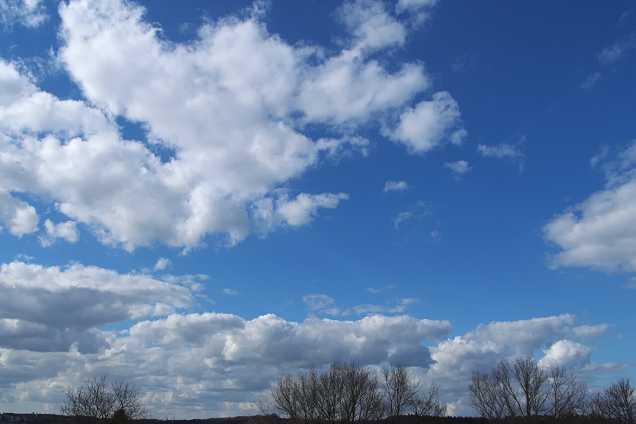 Cumulus mediocris